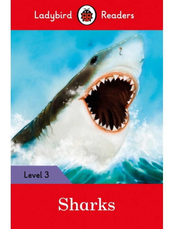 Sharks – Ladybird Readers Level 3