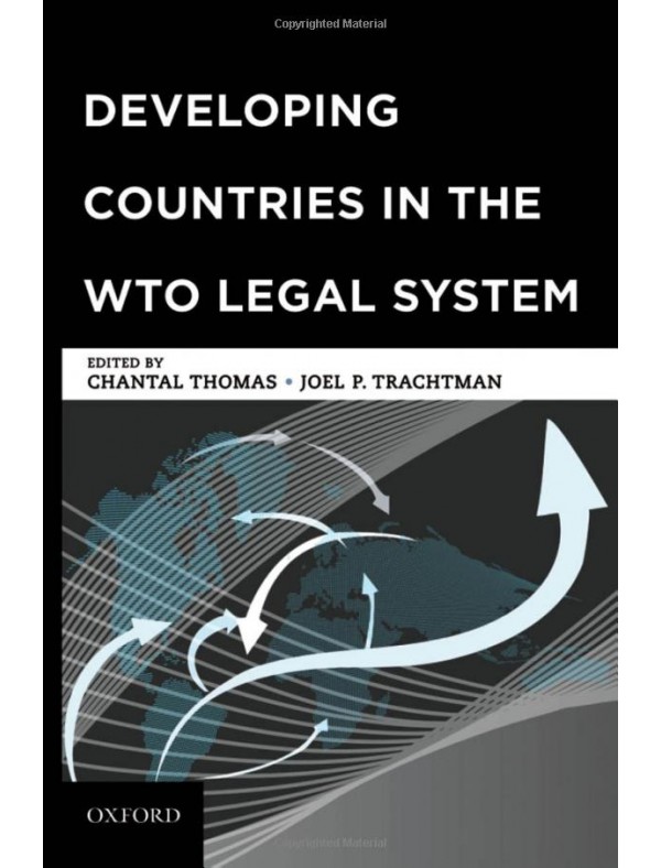 Developing Countries in the WTO Legal System 1st Edition