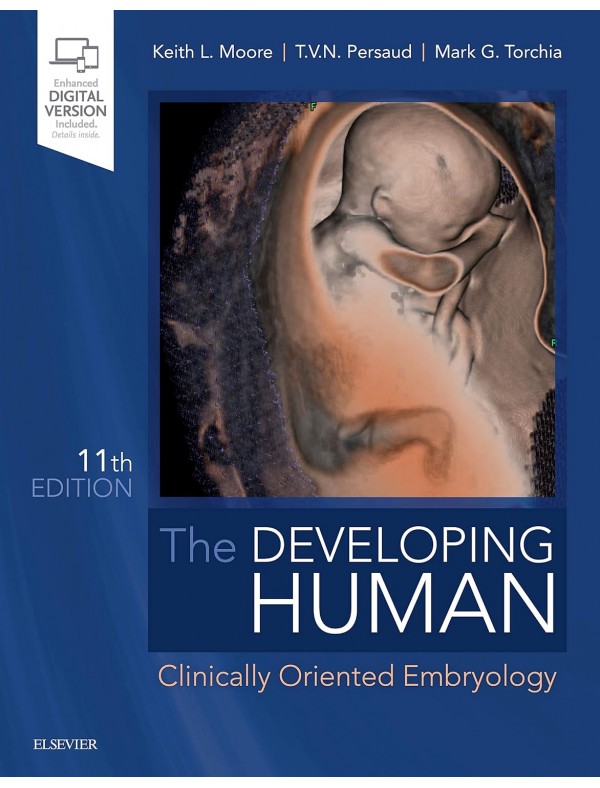 The Developing Human 11th Edition