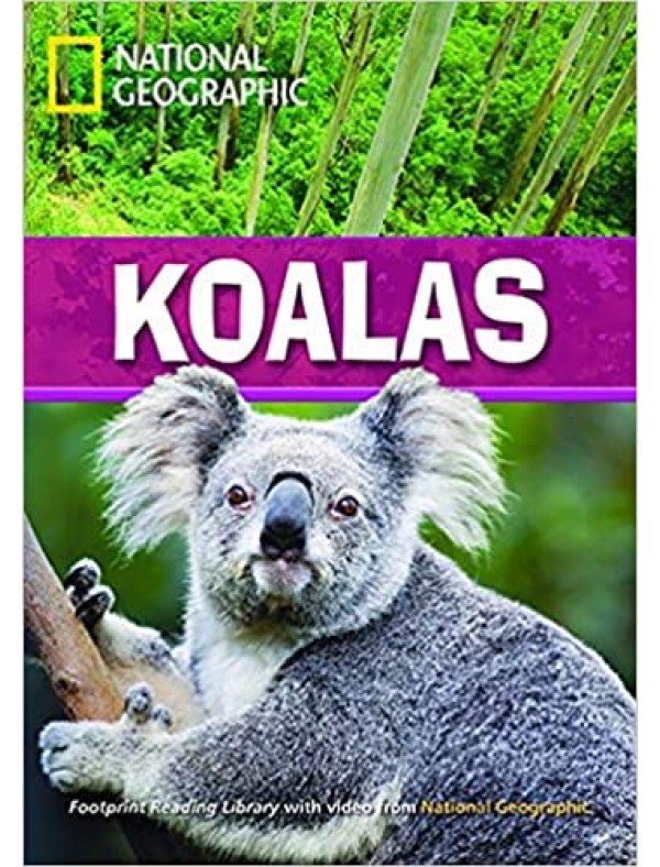 Koalas (Level C1)