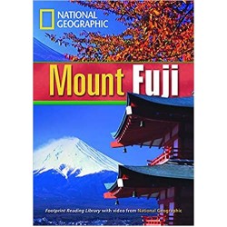 Mount Fuji (Level B1)