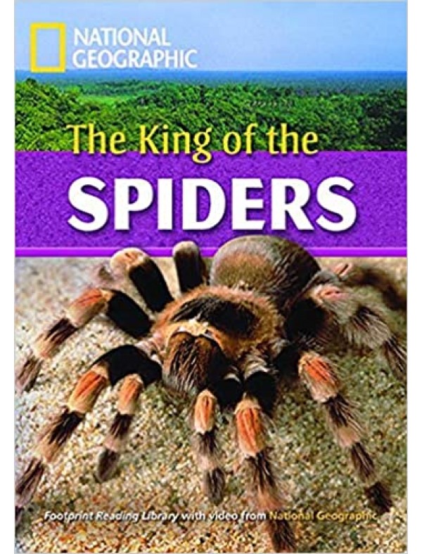 The King of the Spiders (Level C1)