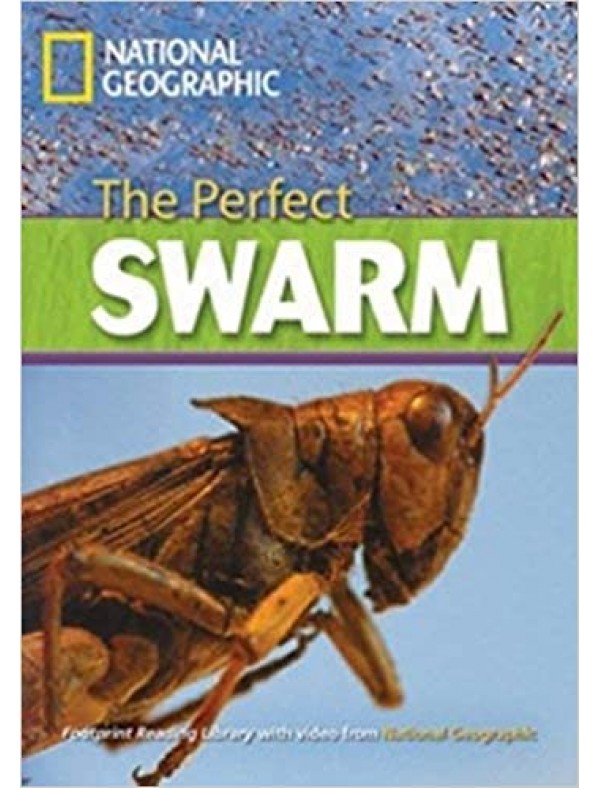 The Perfect Swarm (Level C1)